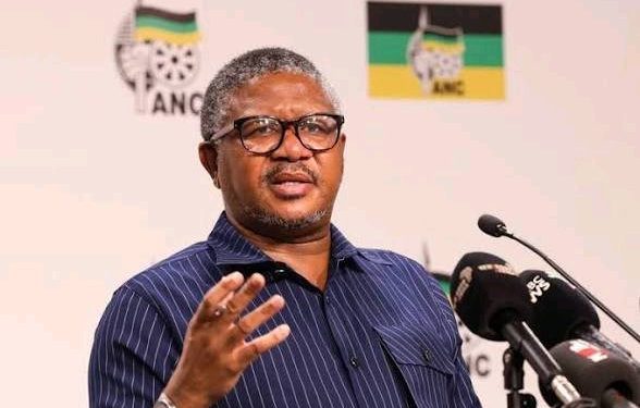 Fikile Mbalula Slams Gerrie Nel and AfriForum: “Big Clowns Playing With Words”