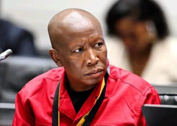 “They Don’t Have a Brain of Their Own” – Malema Reacts to Alleged WhatsApp Plot Against Him
