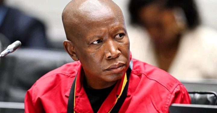 “They Don’t Have a Brain of Their Own” – Malema Reacts to Alleged WhatsApp Plot Against Him