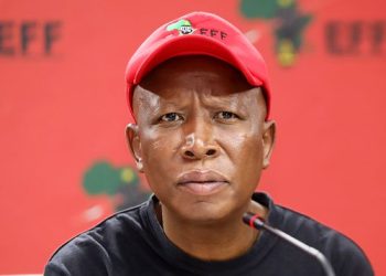 Malema Faces Jail or R150K Fine Over Court Mockery, Says Court Must Be Respected