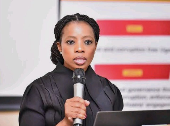 Public Protector Finally Revealed What Must Been Done About Illegal Immigrants & Immigration System