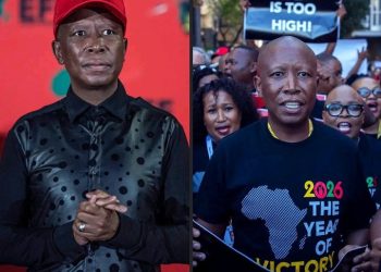 Julius Malema Under Fire After Social Media Post Sparks Immigration Tension Debate
