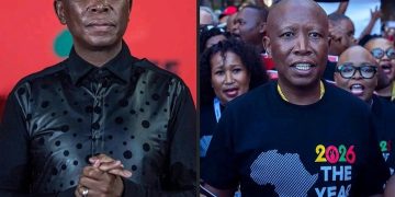 Julius Malema Under Fire After Social Media Post Sparks Immigration Tension Debate