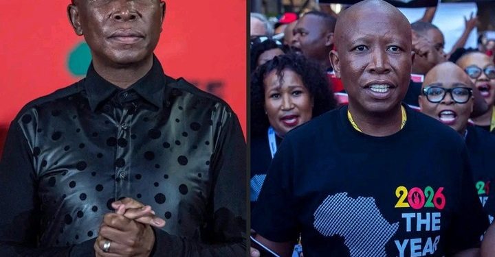 Julius Malema Under Fire After Social Media Post Sparks Immigration Tension Debate