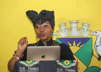 Go to Home Affairs: Adv Ncholo’s Blunt Message to Foreigners Coming for Economic Betterment