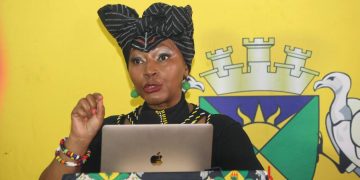 Go to Home Affairs: Adv Ncholo’s Blunt Message to Foreigners Coming for Economic Betterment