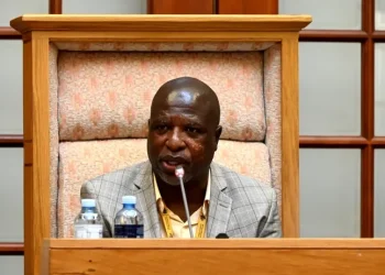 MPs urged not to leak draft report in Mkhwanazi inquiry