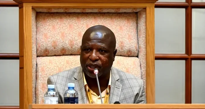 MPs urged not to leak draft report in Mkhwanazi inquiry