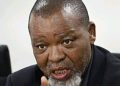 ANC Tensions Rise as Mantashe Faces Corruption Allegations