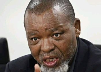 ANC Tensions Rise as Mantashe Faces Corruption Allegations