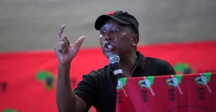 “You Are Foolish and Use Foreign Nationals to Manipulate Gullible South Africans” – to Mashaba
