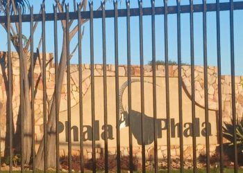 Look Who Just Stepped In To Save Ramaphosa From Phala Phala Impeachment