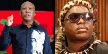 “Malema Is Stupid, He Sacrificed Floyd Shivambu” – Ngizwe Mchunu