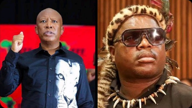 “Malema Is Stupid, He Sacrificed Floyd Shivambu” – Ngizwe Mchunu