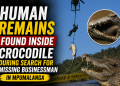 Human remains found inside crocodile during search for missing businessman in Mpumalanga