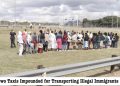 Traffic Officers Stop Two Minibuses with 48 Undocumented Zimbabweans