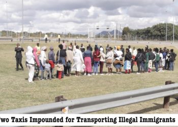 Traffic Officers Stop Two Minibuses with 48 Undocumented Zimbabweans
