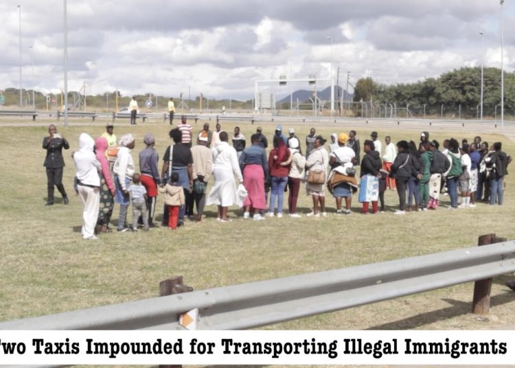 Traffic Officers Stop Two Minibuses with 48 Undocumented Zimbabweans