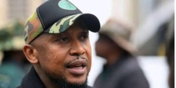 Nhlamulo Ndlela removed as MK Party spokesperson and from Parliament
