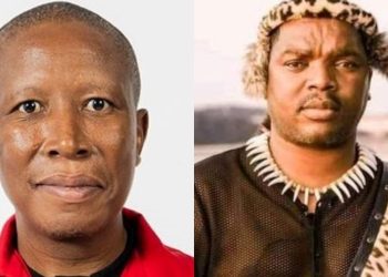Ngizwe Mchunu accuses Julius Malema of receiving R60 million from Nigerian drug dealers
