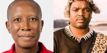 Ngizwe Mchunu accuses Julius Malema of receiving R60 million from Nigerian drug dealers