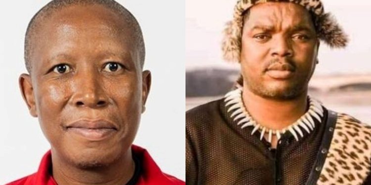 Ngizwe Mchunu accuses Julius Malema of receiving R60 million from Nigerian drug dealers