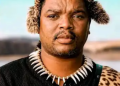 Zuma and Ngizwe Mchunu Discuss Anti-Immigrant Protests in Phone Call