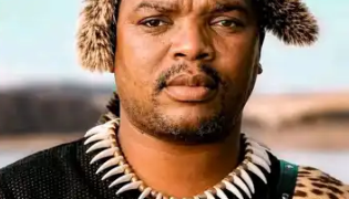 Zuma and Ngizwe Mchunu Discuss Anti-Immigrant Protests in Phone Call