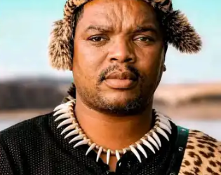 Zuma and Ngizwe Mchunu Discuss Anti-Immigrant Protests in Phone Call