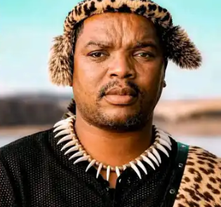 Zuma and Ngizwe Mchunu Discuss Anti-Immigrant Protests in Phone Call