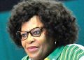 Ex-ANC Member Blames Former Head of State for Tribalism and Party Turmoil