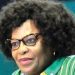 Ex-ANC Member Blames Former Head of State for Tribalism and Party Turmoil