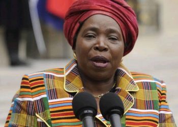 We Are All Africans: Dlamini-Zuma Reminds Nation That Borders Were Forced By Colonial Powers