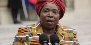 We Are All Africans: Dlamini-Zuma Reminds Nation That Borders Were Forced By Colonial Powers