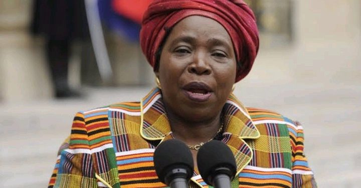We Are All Africans: Dlamini-Zuma Reminds Nation That Borders Were Forced By Colonial Powers