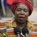 We Are All Africans: Dlamini-Zuma Reminds Nation That Borders Were Forced By Colonial Powers