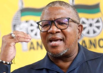 Mbalula defends Bafana as South Africa labelled hate capital of Africa over immigration tensions
