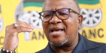 Mbalula defends Bafana as South Africa labelled hate capital of Africa over immigration tensions