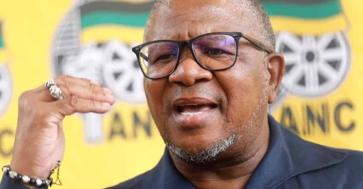 Mbalula defends Bafana as South Africa labelled hate capital of Africa over immigration tensions