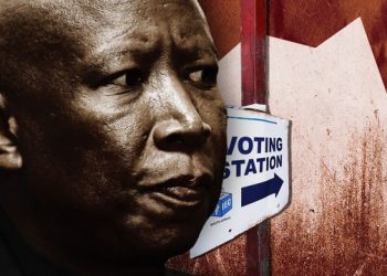 Malema faces political mountain after latest Madlanga Commission evidence