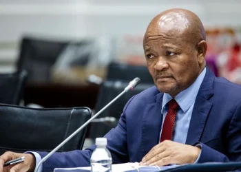 Mchunu’s legal team says parliamentary committee report pre empted the process