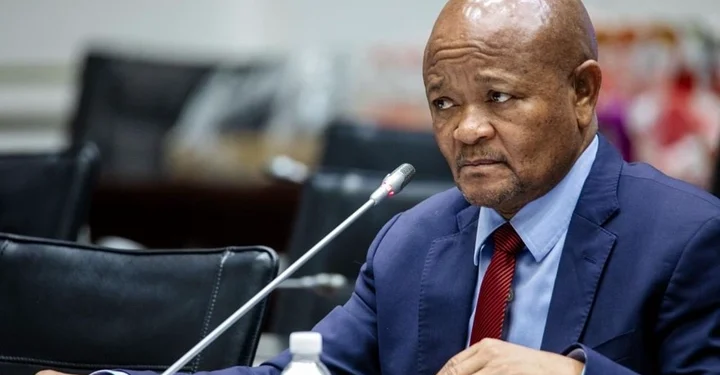 Mchunu’s legal team says parliamentary committee report pre empted the process