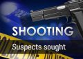 Security Guard Shot in Thigh After Refusing to Help Loot Truck Behind Musina China Mall