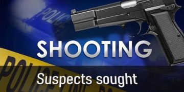 Security Guard Shot in Thigh After Refusing to Help Loot Truck Behind Musina China Mall