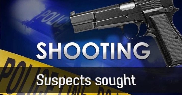 Security Guard Shot in Thigh After Refusing to Help Loot Truck Behind Musina China Mall