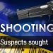 Security Guard Shot in Thigh After Refusing to Help Loot Truck Behind Musina China Mall