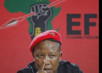 Zimbabweans Must Go And Get Their Jobs In Harare, Zimbabwe EFF Leader Julius Malema Declared