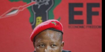 Zimbabweans Must Go And Get Their Jobs In Harare, Zimbabwe EFF Leader Julius Malema Declared