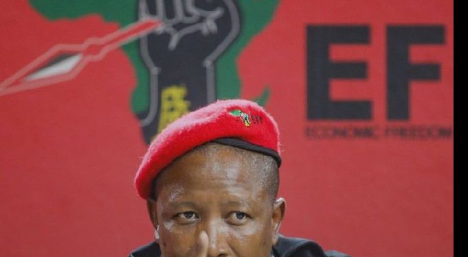 Zimbabweans Must Go And Get Their Jobs In Harare, Zimbabwe EFF Leader Julius Malema Declared