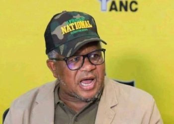 Mbalula Names Five ANC Leaders Who Hurt the Party